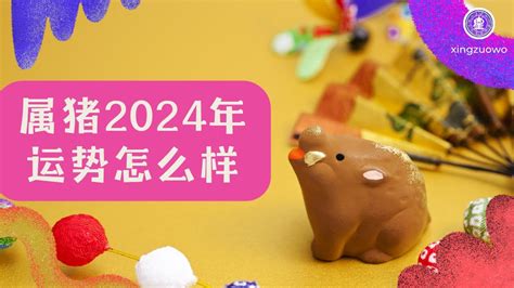 2024属猪|属猪2024年运势及运程详解每月 2024年属猪人的全年运势